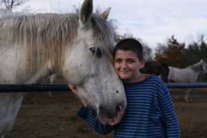 מכללת כרכור | טיפול בילד עם הפרעות קשב וריכוז (ADHD) בעזרת סוסים