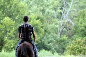 מכללת כרכור | תרפיה בעזרת סוסים עם דגשים על נוער בסיכון