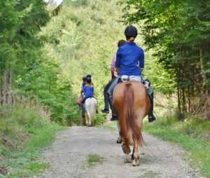 מכללת כרכור - תרפיה בעזרת סוסים עם דגשים על נוער בסיכון