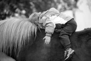 מכללת כרכור | טיפול באמצעות סוסים בתופעות חרדה, הדרך הטבעית