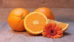 מכללת כרכור | שמן שמן תפוז מתוק SWEET ORANGE, Citrus sinensis